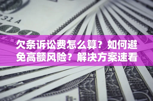 北京欠条诉讼费怎么算？如何避免高额风险？解决方案速看！