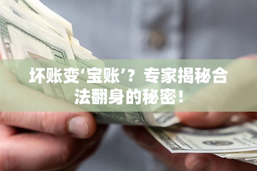 北京坏账变‘宝账’？专家揭秘合法翻身的秘密！