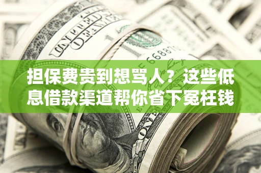 北京担保费贵到想骂人？这些低息借款渠道帮你省下冤枉钱