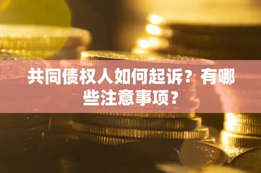 北京共同债权人如何起诉？有哪些注意事项？